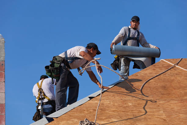 Best Roof Leak Repair  in Osseo, MN