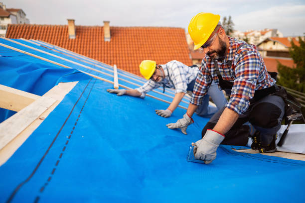 Best Metal Roofing Contractor  in Osseo, MN