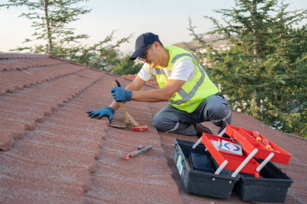 Best Roof Maintenance Services  in Osseo, MN